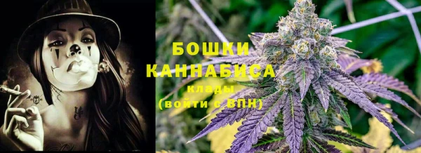 гидра Каменка